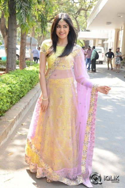 Adah-Sharma-at-Kshanam-Movie-Release-Press-Meet